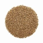 Cumin Seeds (Jeera)