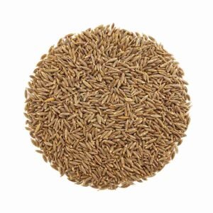 Cumin Seeds (Jeera)