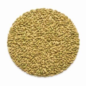 Fennel Seeds (Saunf)