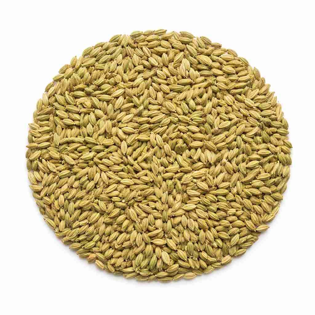 Fennel Seeds (Saunf) CG_11zon Fennel Seeds (Saunf)